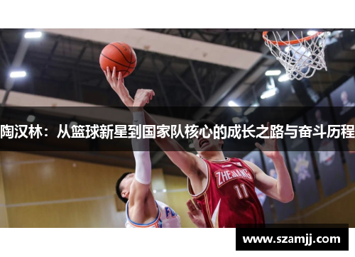 陶汉林：从篮球新星到国家队核心的成长之路与奋斗历程